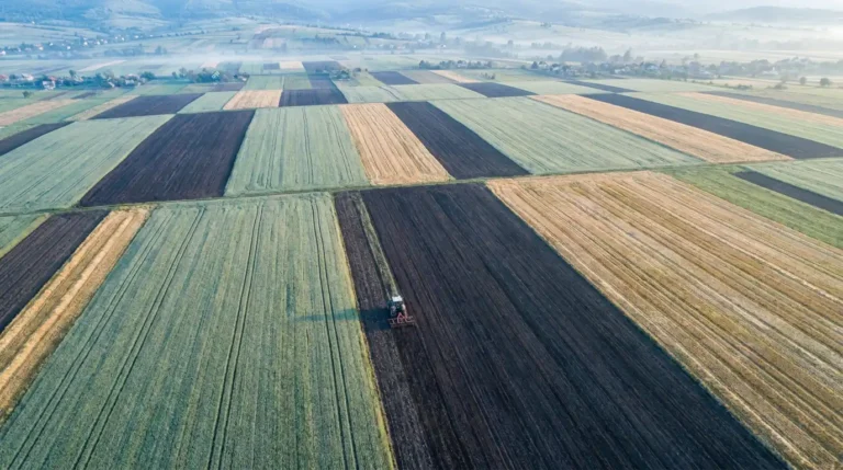 календар польових робіт