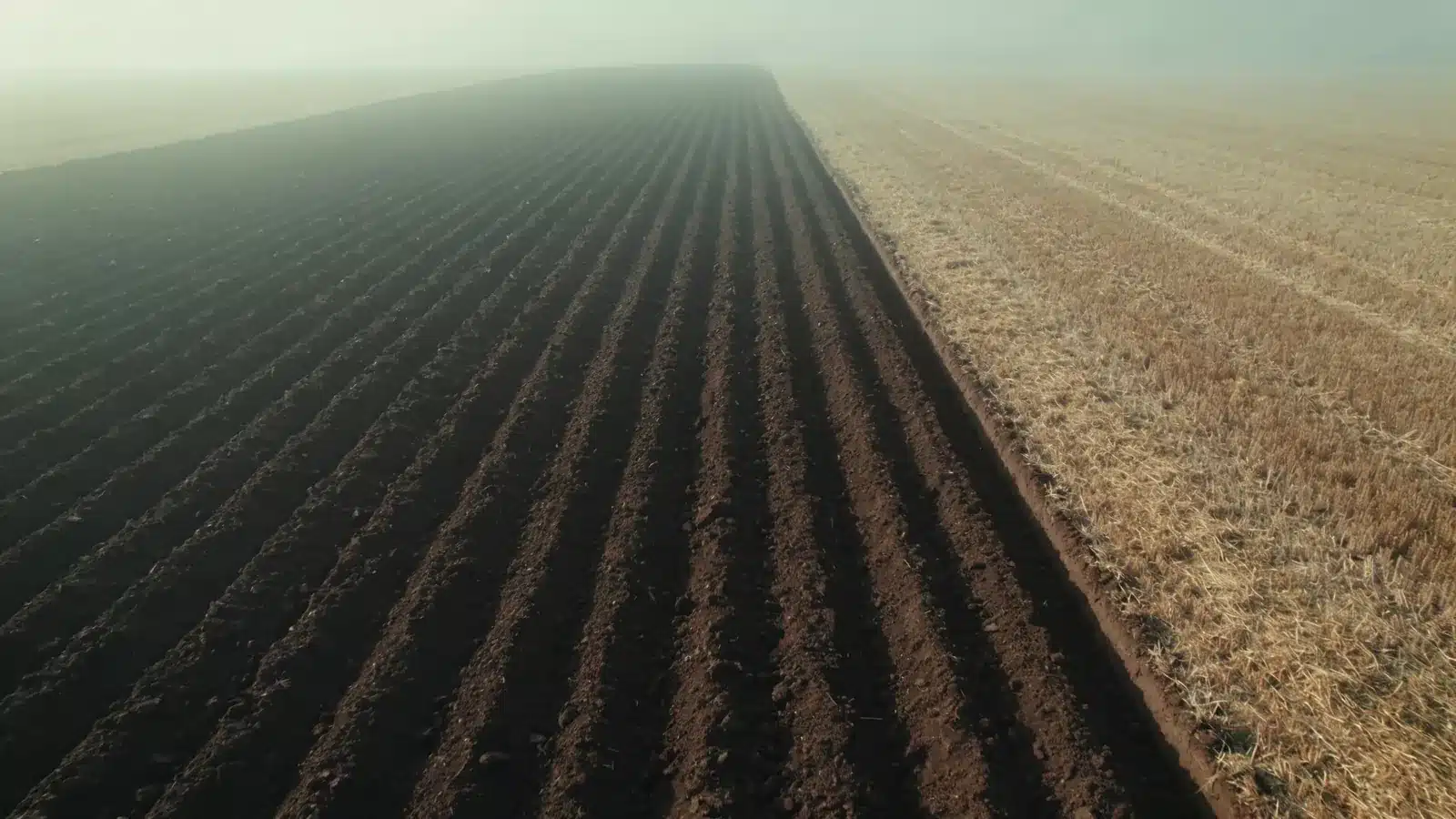 Even furrow slices after ploughing next to stubble — aerial view